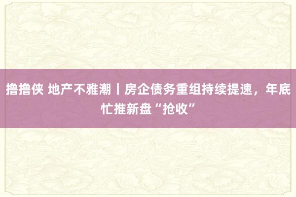 撸撸侠 地产不雅潮丨房企债务重组持续提速，年底忙推新盘“抢收”