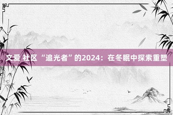 文爱 社区 “追光者”的2024：在冬眠中探索重塑