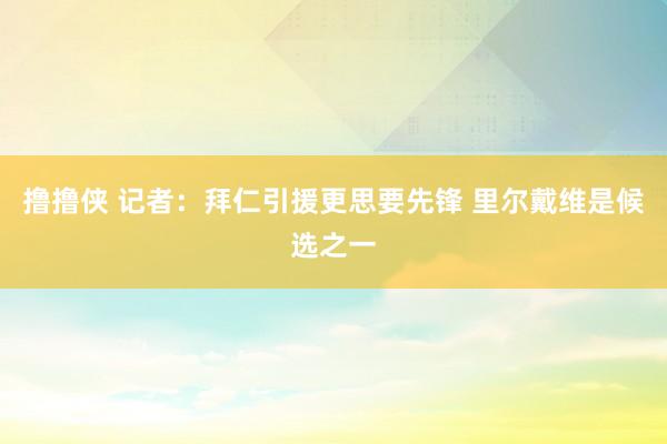 撸撸侠 记者：拜仁引援更思要先锋 里尔戴维是候选之一