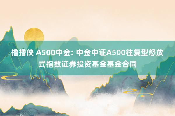 撸撸侠 A500中金: 中金中证A500往复型怒放式指数证券投资基金基金合同