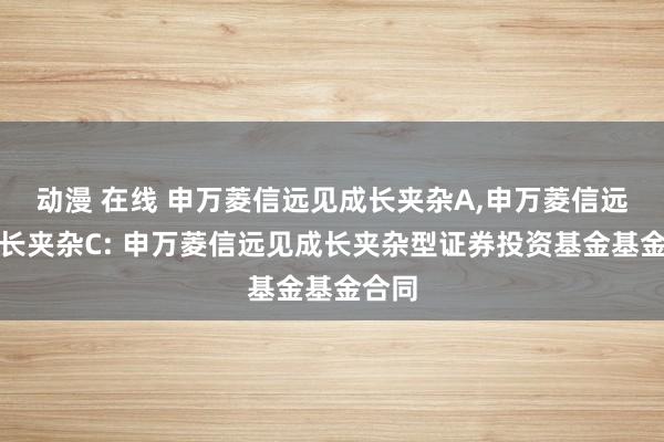 动漫 在线 申万菱信远见成长夹杂A，申万菱信远见成长夹杂C: 申万菱信远见成长夹杂型证券投资基金基金合同