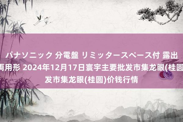 パナソニック 分電盤 リミッタースペース付 露出・半埋込両用形 2024年12月17日寰宇主要批发市集龙眼(桂圆)价钱行情