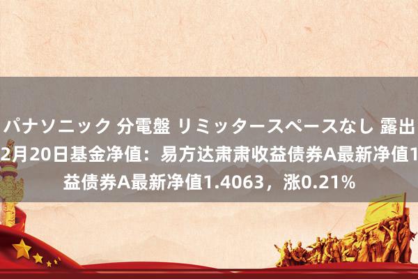 パナソニック 分電盤 リミッタースペースなし 露出・半埋込両用形 12月20日基金净值：易方达肃肃收益债券A最新净值1.4063，涨0.21%