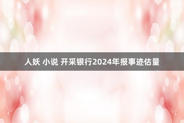 人妖 小说 开采银行2024年报事迹估量