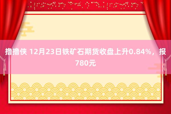 撸撸侠 12月23日铁矿石期货收盘上升0.84%，报780元