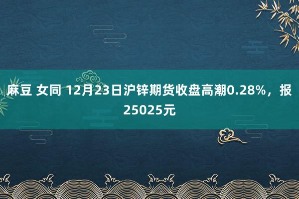 麻豆 女同 12月23日沪锌期货收盘高潮0.28%，报25025元