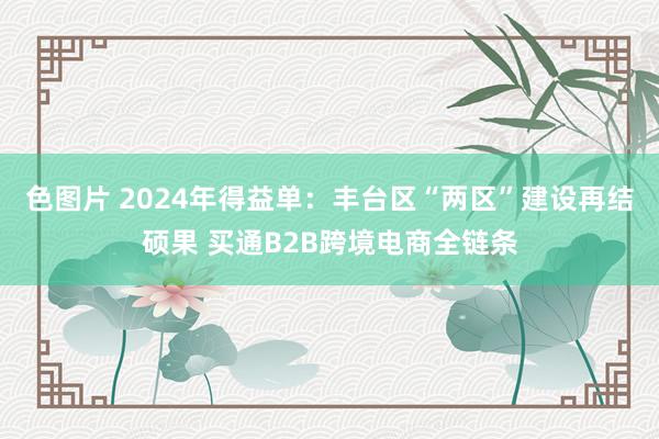 色图片 2024年得益单：丰台区“两区”建设再结硕果 买通B2B跨境电商全链条