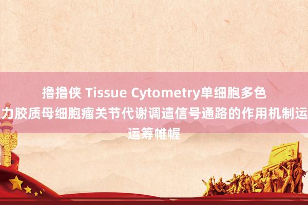 撸撸侠 Tissue Cytometry单细胞多色时刻助力胶质母细胞瘤关节代谢调遣信号通路的作用机制运筹帷幄