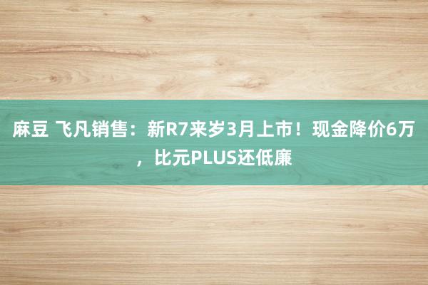 麻豆 飞凡销售：新R7来岁3月上市！现金降价6万，比元PLUS还低廉