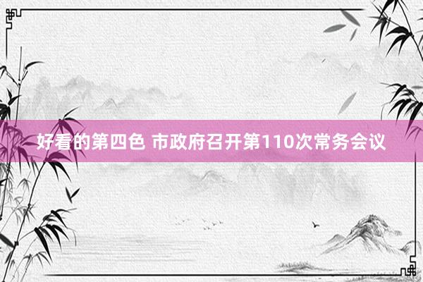 好看的第四色 市政府召开第110次常务会议