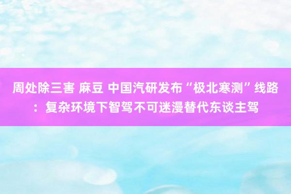 周处除三害 麻豆 中国汽研发布“极北寒测”线路：复杂环境下智驾不可迷漫替代东谈主驾