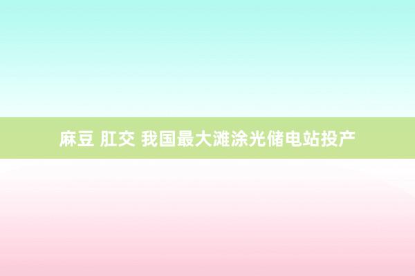 麻豆 肛交 我国最大滩涂光储电站投产