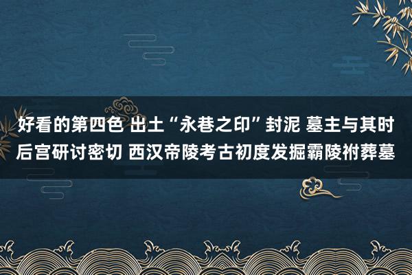 好看的第四色 出土“永巷之印”封泥 墓主与其时后宫研讨密切 西汉帝陵考古初度发掘霸陵祔葬墓