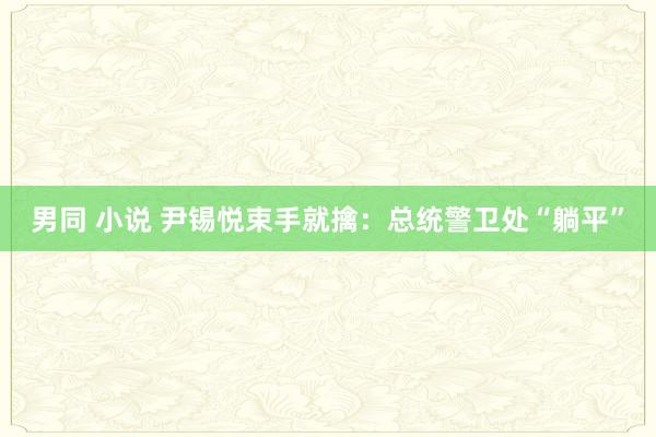 男同 小说 尹锡悦束手就擒：总统警卫处“躺平”